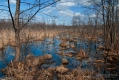 029_Biebrza - kwiecien 2013